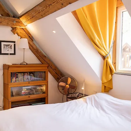 Venez Chez Vous Les Pignons Sur Le Appartement Talloires
